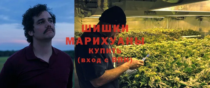 где можно купить наркотик  Лихославль  МАРИХУАНА Amnesia 